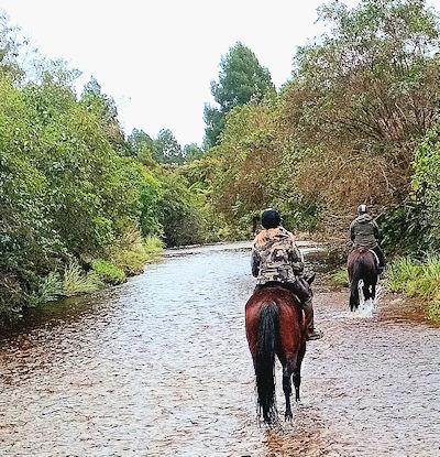 Riding on the West Coast