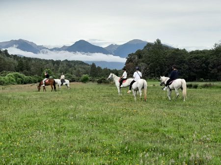 A group of riders at West Coast Horse Adventures