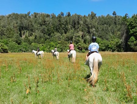 Horse riding, West Coast, Jan 2024